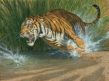 Lee Kromschroeder Handsigned and Numbered Limited Edition Giclee on Canvas: "Unleashed-Tiger"