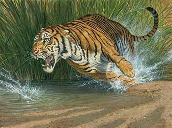 Lee Kromschroeder Handsigned and Numbered Limited Edition Giclee on Canvas: "Unleashed-Tiger"
