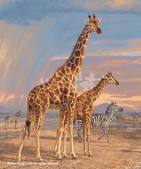 Lee Kromschroeder Limited Edition Premier Gicl&eacute;e Canvas:"Mother's Vigilance - Giraffes"