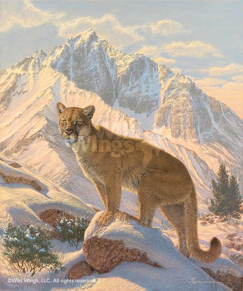 Lee Kromschroeder Limited Edition Premier Gicl&eacute;e Canvas:"Spirit of the West - Cougar"