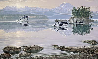 Lee Kromschroeder Limited Edition Print:" Dawn's Call-Orcas "