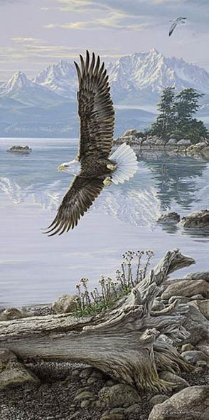 Lee Kromschroeder Limited Edition Print:" Dawn's Call-Soaring Eagle "