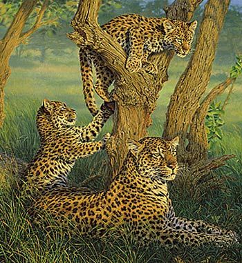 Lee Kromschroeder Limited Edition Print: "Family Outing -Leopards"