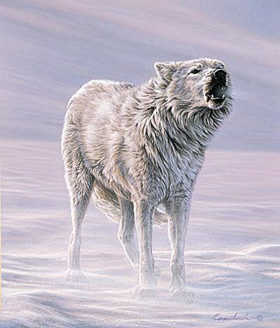 Lee Kromschroeder Limited Edition Print:"Howling Wind "