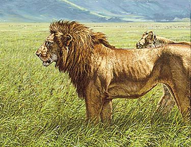 Lee Kromschroeder Limited Edition Print:" Offense Takes The Field-Right Wing "