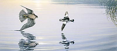 Lee Kromschroeder Limited Edition Print:"Pursuit On The Deck "