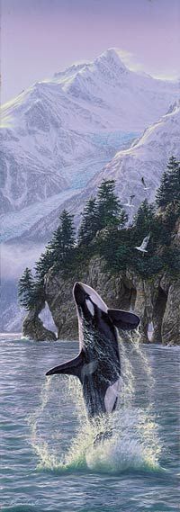 Lee Kromschroeder Limited Edition Print:" Vertical Rise-Orcas "