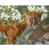Lee Kromschroeder Master Artisan Hand Embellished Canvas Giclee:"Midsummer’s Dream "