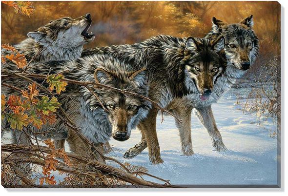 Lee Kromschroeder Open Edition Gallery Wrap Canvas: "Body Language - Timberwolves"