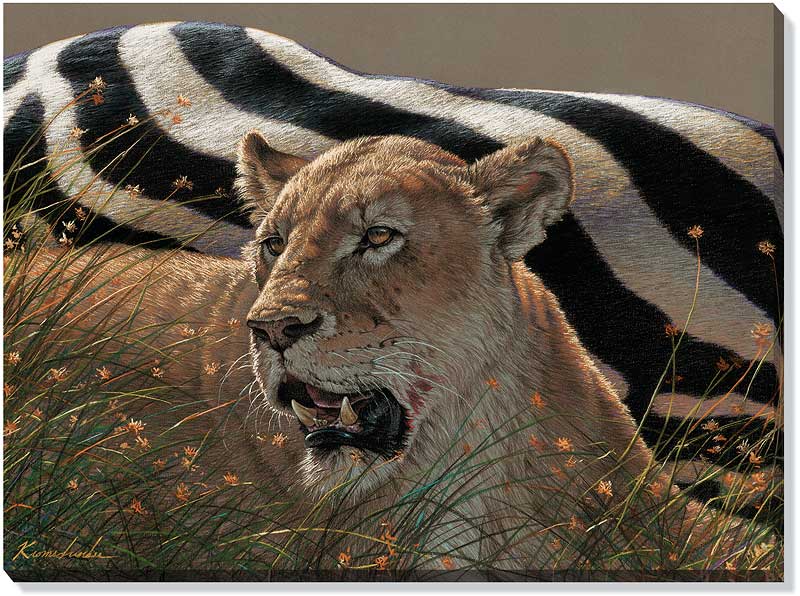 Lee Kromschroeder Oversize Open Edition Gallery Wrap Canvas:"Ngorongoro Morning - Lion"