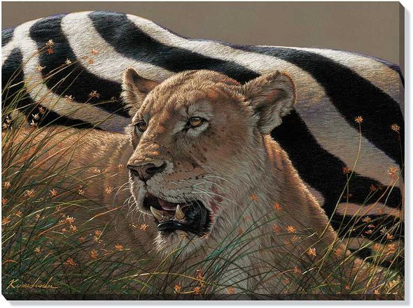 Lee Kromschroeder Oversize Open Edition Gallery Wrap Canvas:"Ngorongoro Morning - Lion"
