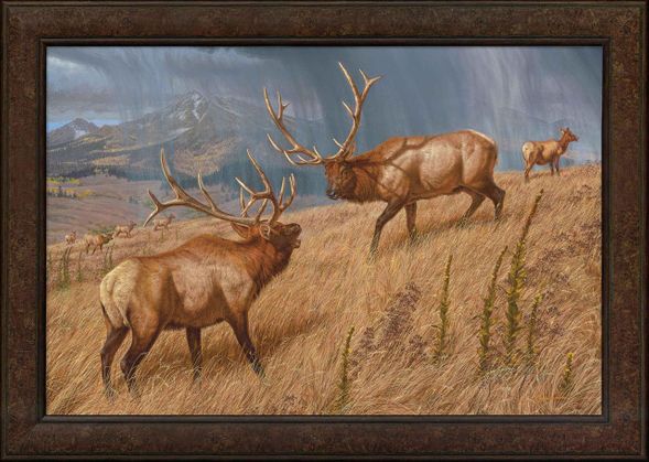 Lee Kromschroeder 29x41 Oversized Framed Canvas Giclee:"Storm Brewin' - Elk"
