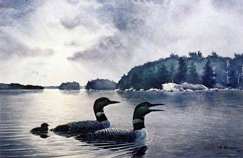 Les Kouba Artist Proof:"Loon Family Patrol"