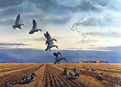 Les Kouba Artist Proof:"Mallards Ala Barley"