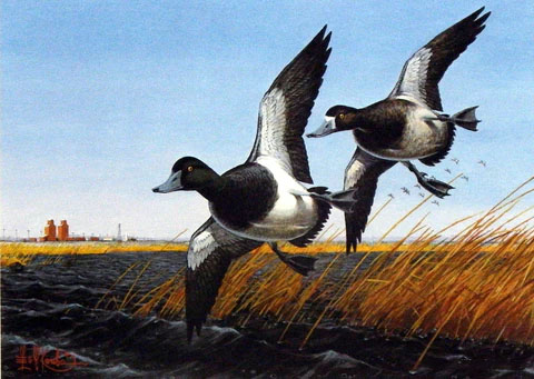 Les Kouba Print-Signed and Numbered:"1985 North Dakota Duck Stamp"