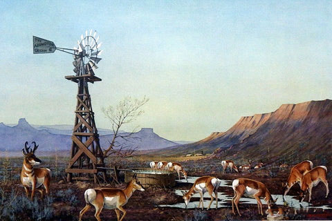 Les Kouba Print-Signed and Numbered:"Antelope In Ranch Country"
