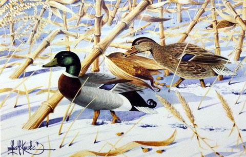Les Kouba Print-Signed and Numbered:"Cornfed Mallards"