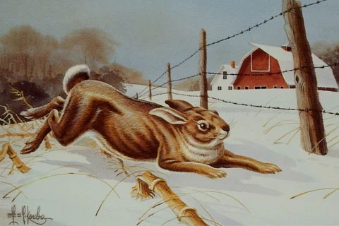 Les Kouba Print-Signed and Numbered:"Cottontail Headin For Cover S/N Art Print"