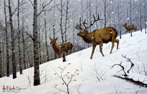Les Kouba Print-Signed and Numbered:"Elk Headin Down"