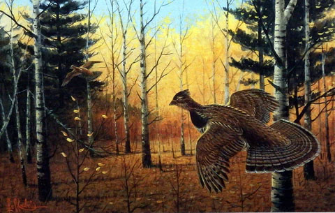 Les Kouba Print-Signed and Numbered:"Heartland Grouse"