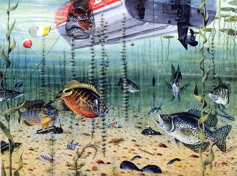 Les Kouba Print-Signed and Numbered:"Panfishing"