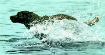 Lesley Harrison Handsigned & Numbered Limited Edition Print:"Making Waves"