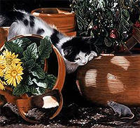 LESLEY HARRISON  Secondary Market Art: "POTTING SHED PLAY"