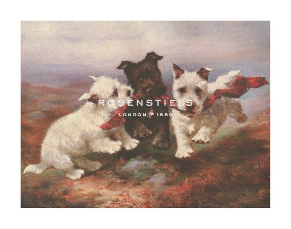 Lilian Cheviot Hand Numbered Limited Edition Print on Paper :"A Highland Fling"