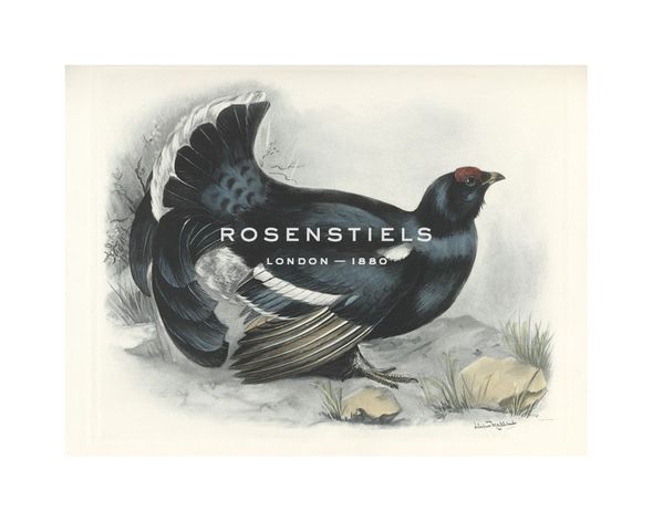 Lilian Medland Hand Numbered Limited Edition Print on Paper :"Black Grouse"