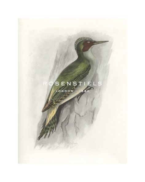 Lilian Medland Hand Numbered Limited Edition Print on Paper :"Green Woodpecker"
