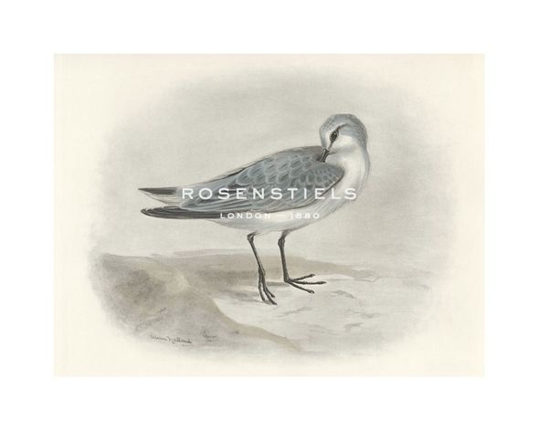 Lilian Medland Hand Numbered Limited Edition Print on Paper :"Sandling II"