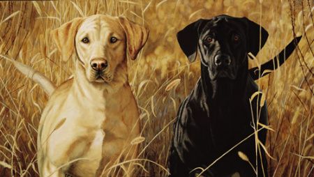 Limited Edition Print:"Double Flush"