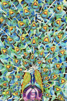 Linnea Pergola Limited Edition Giclée on Canvas: "Peacock"