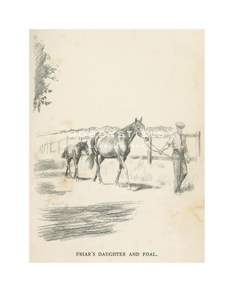 Lionel Edwards Hand Numbered Limited Edition Print on Paper :"Friar's Daughter and Foal"