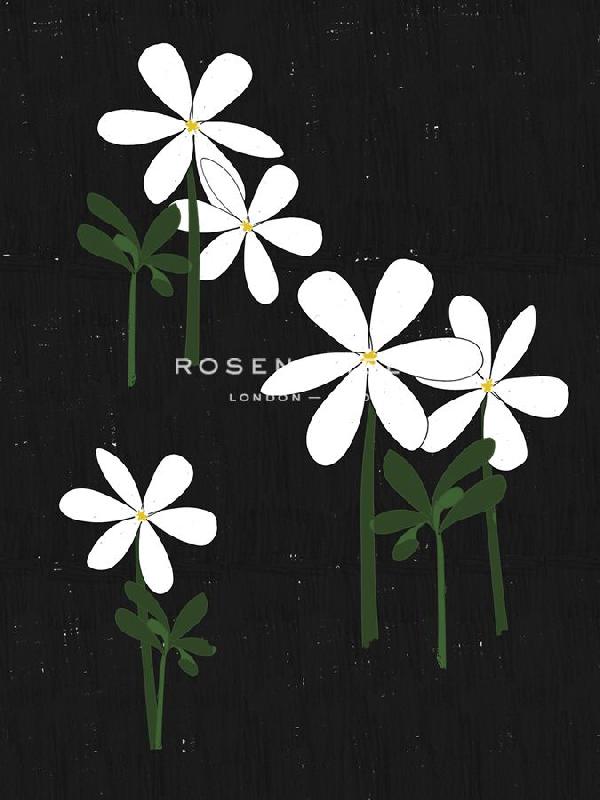 Lisa Stickley 30 x 40 in. Open Giclee Canvas:"Jasmine Blackboard"