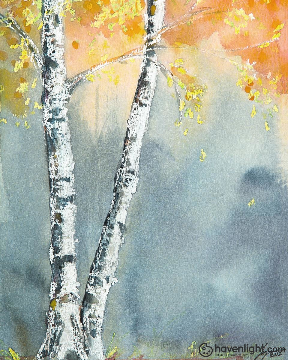 Liz Lindsay Fine Art Canvas Giclee: "Aspen Fog"