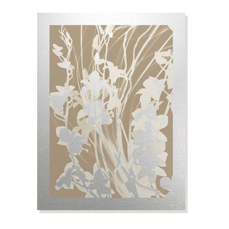 Lois Bender Limited Edition Ready to Hang Giclee on Brushed Aluminum: "Flower Shadow I"