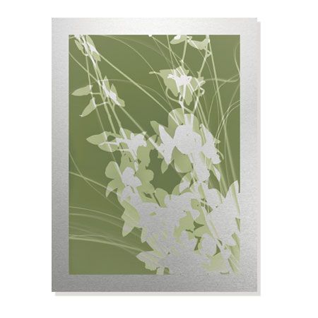 Lois Bender Limited Edition Ready to Hang Giclee on Brushed Aluminum: "Flower Shadow III"