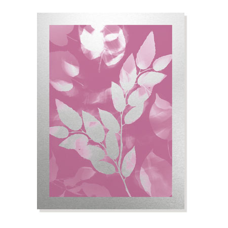 Lois Bender Limited Edition Ready to Hang Giclee on Brushed Aluminum: "Flower Shadow VI"