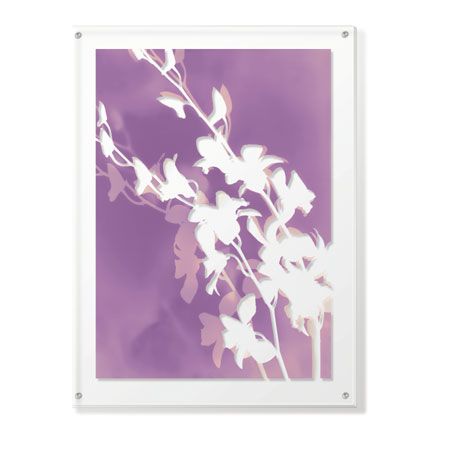 Lois Bender Limited Edition Ready to Hang Giclee on Clear Acrylic: "Flower Shadow V"