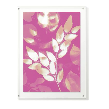 Lois Bender Limited Edition Ready to Hang Giclee on Clear Acrylic: "Flower Shadow VI" Lois Bender Limited Edition Ready to Hang Giclee on Clear Acrylic: "Flower Shadow VI"