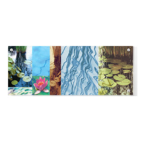 Lois Bender Limited Edition Ready to Hang Giclee on Clear Acrylic: "Water Lilies"