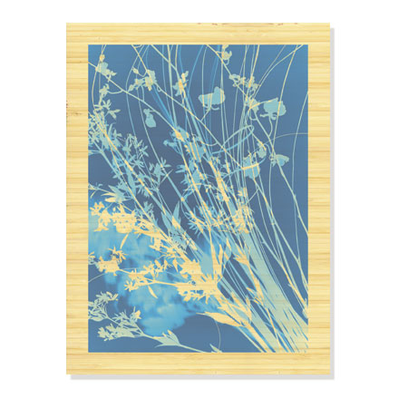 Lois Bender Limited Edition Ready to Hang Giclee on Sustainable Bamboo: "Flower Shadow IV"