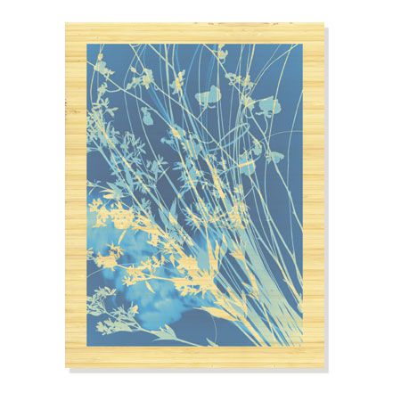 Lois Bender Limited Edition Ready to Hang Giclee on Sustainable Bamboo: "Flower Shadow IV"