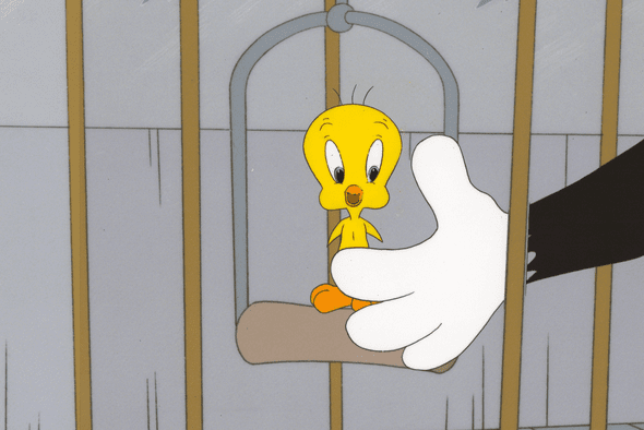 Looney Tunes Original Production Cel: "Tweety"