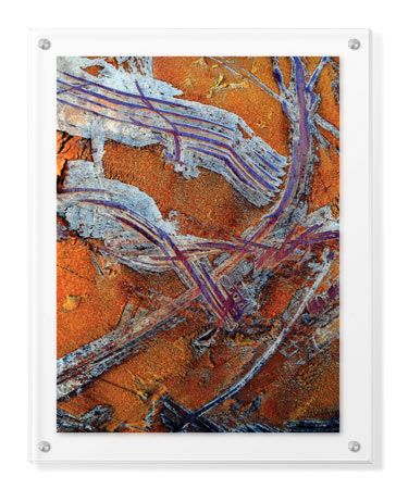 LuAnn Ostergaard Limited Edition Ready to Hang Giclee on Clear Acrylic: "Golden Opportunity II"
