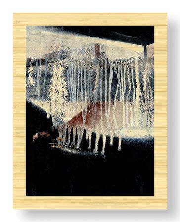 LuAnn Ostergaard Limited Edition Ready to Hang Giclee on Sustainable Bamboo: ""