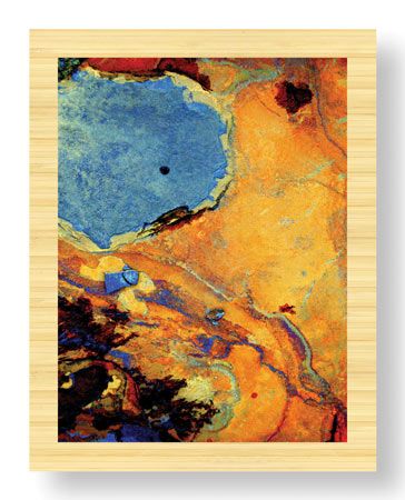 LuAnn Ostergaard Limited Edition Ready to Hang Giclee on Sustainable Bamboo: "Gold Rush"