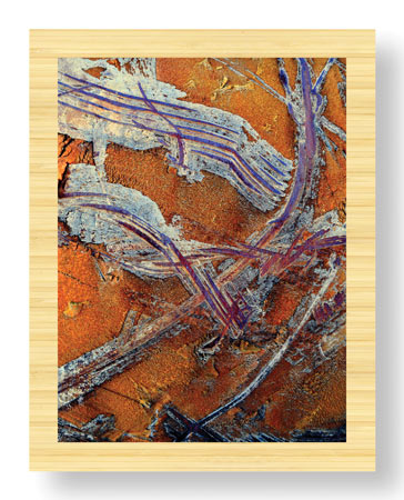 LuAnn Ostergaard Limited Edition Ready to Hang Giclee on Sustainable Bamboo: "Golden Opportunity II"