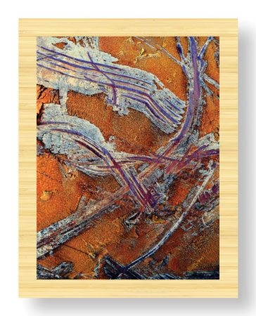 LuAnn Ostergaard Limited Edition Ready to Hang Giclee on Sustainable Bamboo: "Golden Opportunity II"